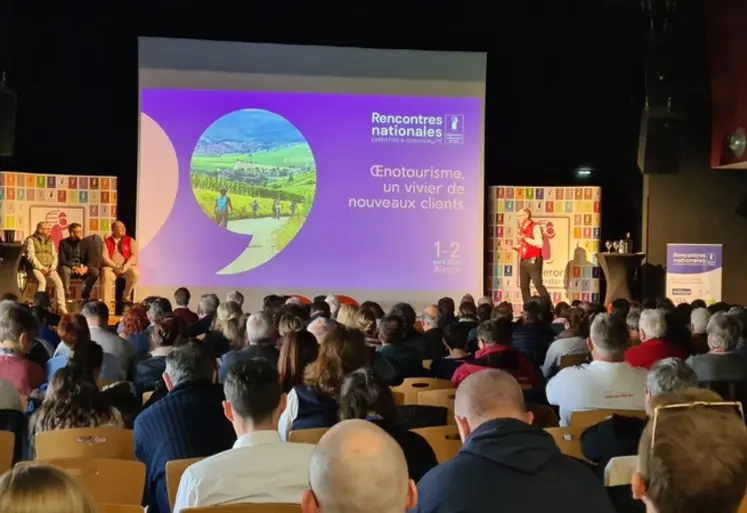 <em class="placeholder">Conférence sur l&#039;oenotoourisme lors des Rencontres des Vignerons indépendants d&#039;avril 2025, en Alsace.</em>