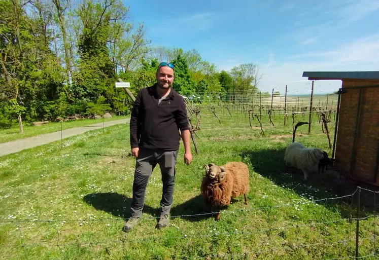 <em class="placeholder">Joël Fugler, vigneron coopérateur de la cave du Vieil Armand dans le Haut-Rhin.</em>