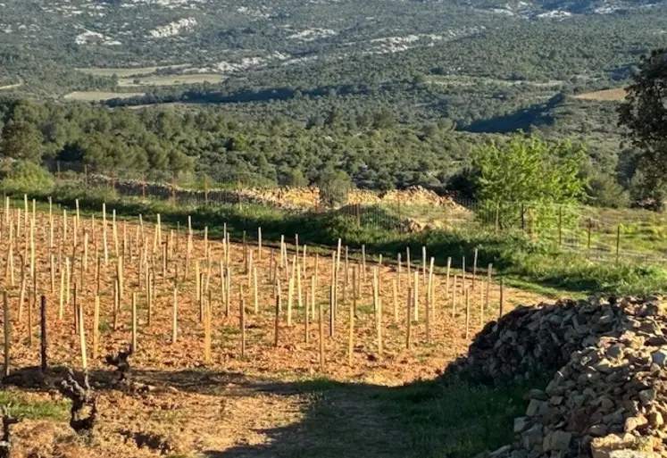 <em class="placeholder">parcelle de vigne clôturée</em>