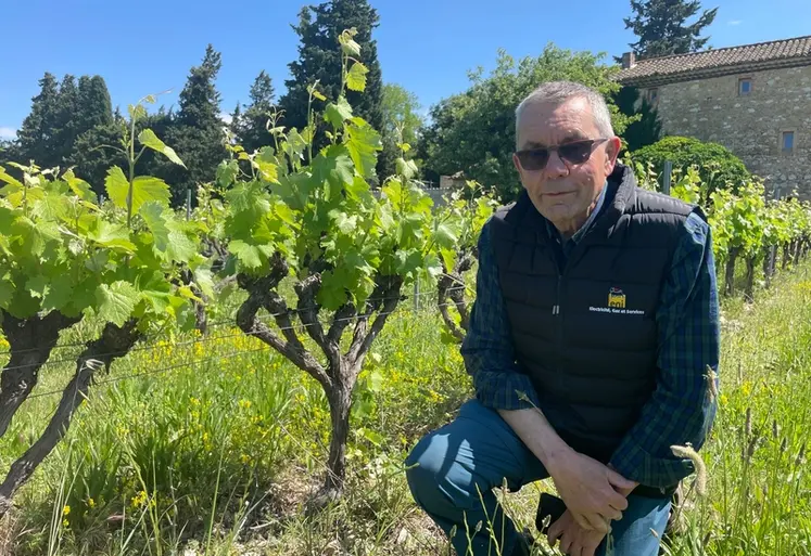<em class="placeholder">Luc Pélaquié dans son vignoble</em>