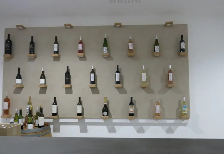 <em class="placeholder">Gamme de vins des Caves Richemer présentée dans le caveau de Marseillan.</em>
