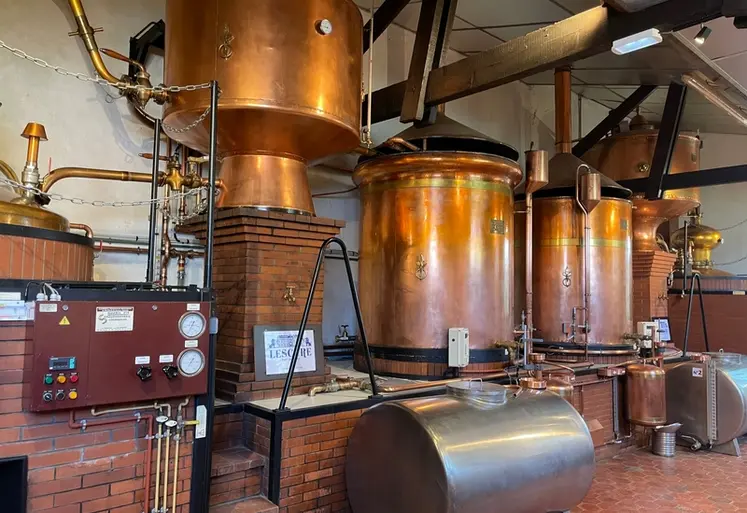 <em class="placeholder">Distillerie, distillation, cuivre, cognac, eau-de-vie
Vignobles Lescure, à Claix, en Charente</em>