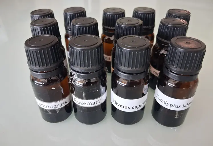 <em class="placeholder">Flacons d&#039;huiles essentielles expérimentées par l&#039;IFV</em>