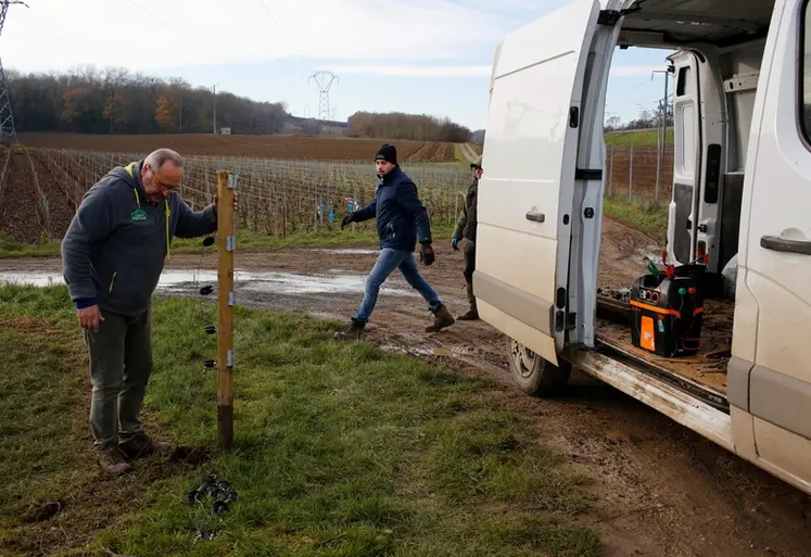 <em class="placeholder">Vigneron et salarie d une exploitation viticole a Vrigny en Champagne installant la cloture electrique afin de faire paitre des brebis dans sa parcelle de vignes. L ...</em>
