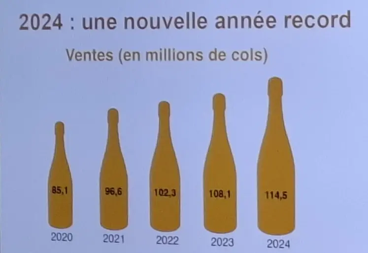 <em class="placeholder">Graphique sur l&#039;évolution des ventes de crémant </em>