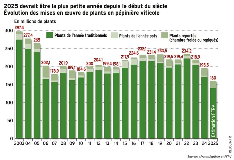 <em class="placeholder">2025 devrait être la plus petite année depuis le début du siècle pour les mises en œuvre de plants de vigne.</em>