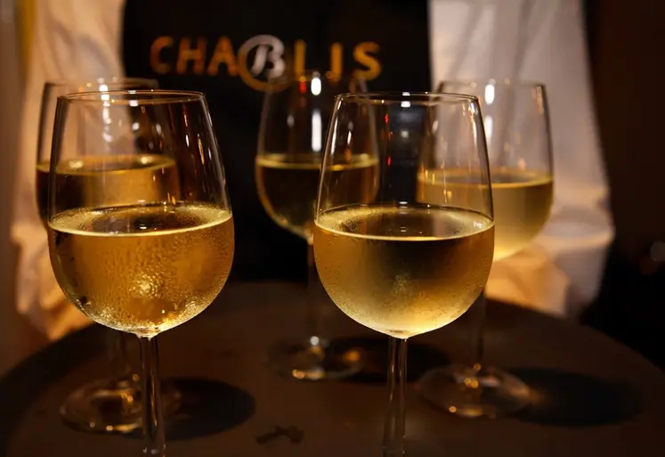 <em class="placeholder">Vigne / vins de Bourgogne blancs / dÃ©gustation de Chablis / bar Ã  vins</em>