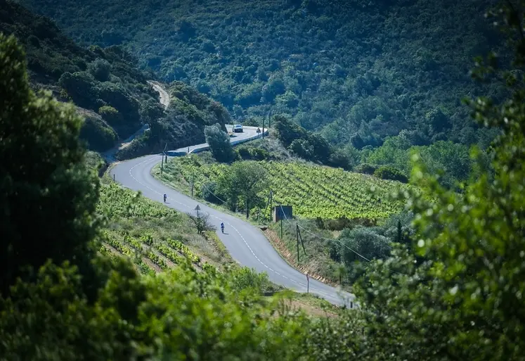 <em class="placeholder">les environs de Rasiguères, au creux du Fenouillèdes</em>