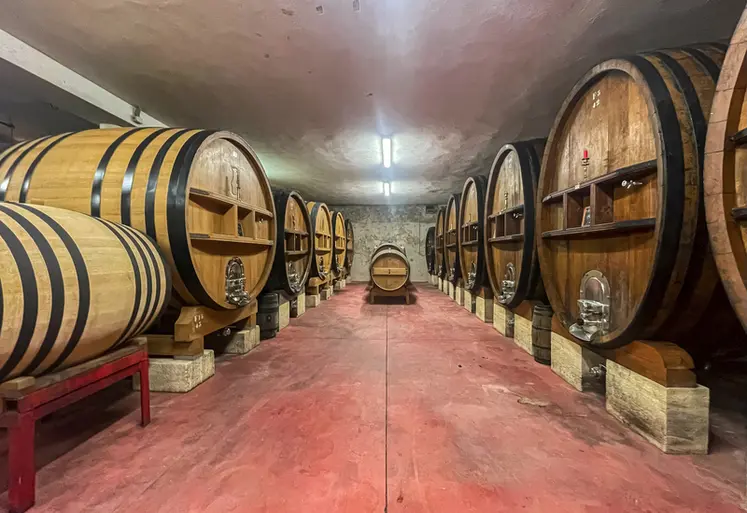 <em class="placeholder">foudres d&#039;élevage des rouges Domaine Ray-Jane</em>