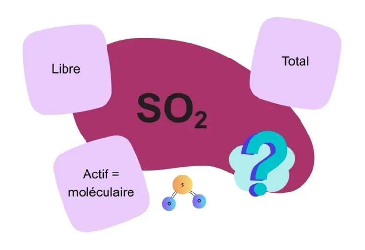<em class="placeholder">schéma : quel SO2 choisir</em>