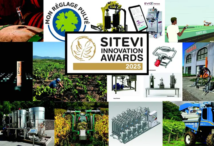 <em class="placeholder">Le jury des Sitevi Innovation Awards 2025 a rendu son verdict : au total, deux médailles d&#039;or, huit d&#039;argent, six de bronze et un coup de coeur. </em>