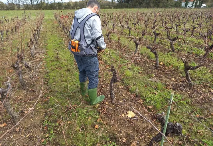 <em class="placeholder">Saisonnier déraquant la vigne.</em>