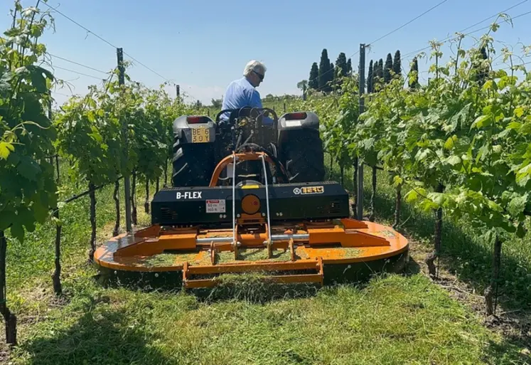 <em class="placeholder">Tondeuse Berti</em>