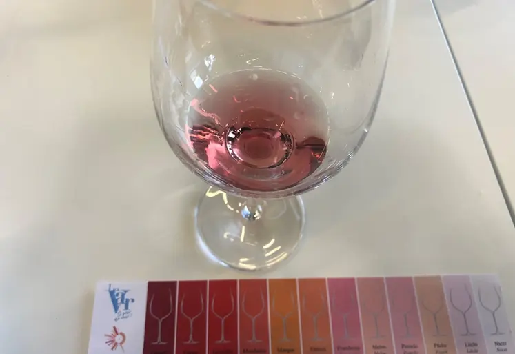 <em class="placeholder">Dégustation d'un vin rosé lors d'un atelier au salon Vinitech 2022 sur les rosés du monde</em>