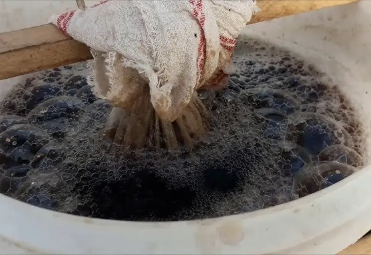 <em class="placeholder">Thé de compost.</em>