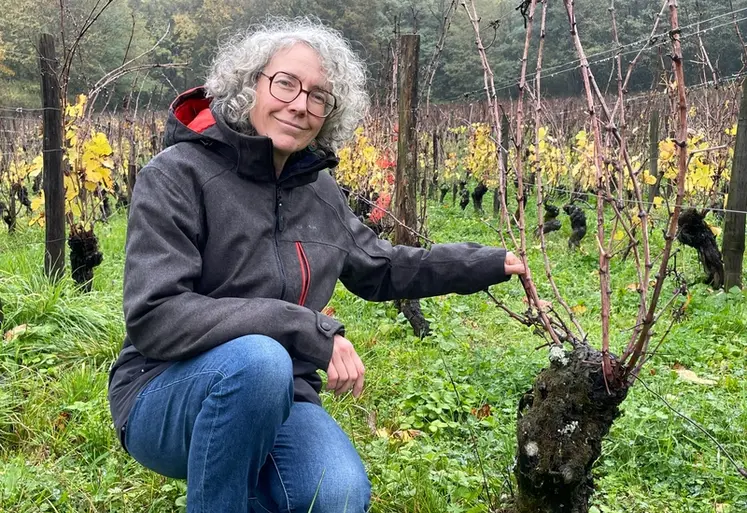 <em class="placeholder">Photo de Céline Tissot, vigneronne en Bugey, pose dans ses vignes.</em>