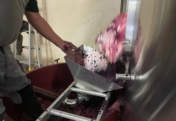 <em class="placeholder">Décuvage du marc après fermentation alcoolique et écoulage d'un rouge dans le bordelais, vinifications 2023
Pelle, trémie, marc</em>