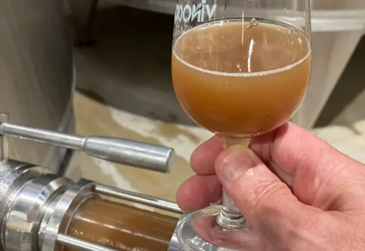 <em class="placeholder">moût de pinot noir (?) pendant préfermentation</em>