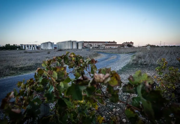Cave Arnaud de Villeneuve dans les Pyrénées-Orientales