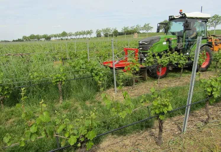 <em class="placeholder">Fauchage d'herbe dans les vignes</em>