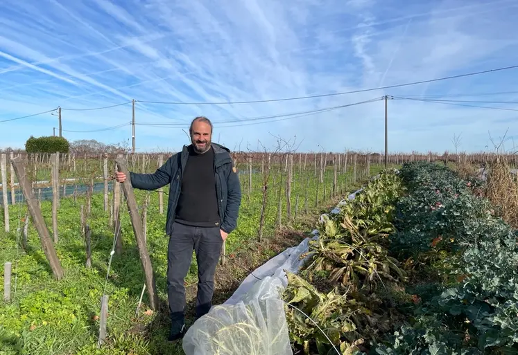 <em class="placeholder">Victor Moreaud, viticulteur à Saint-Émilion, en Gironde. </em>