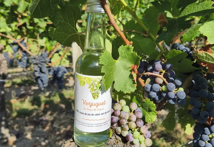 <em class="placeholder">bouteille de verjus condiment produit par le Château Juguet</em>
