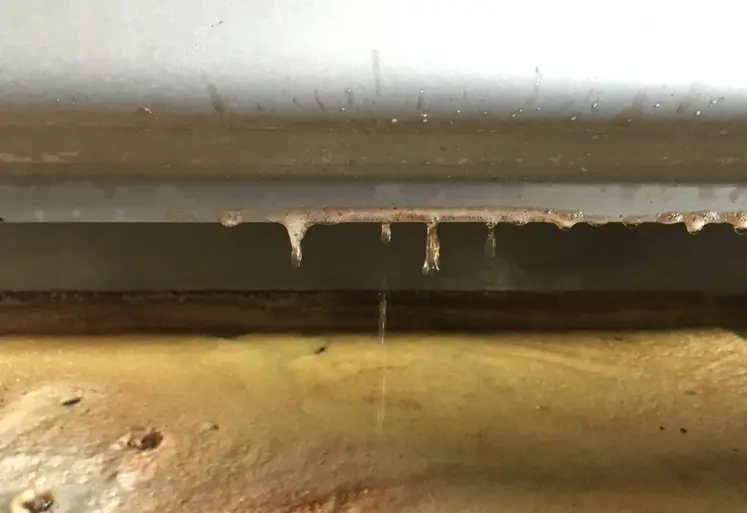 <em class="placeholder">jus de chardonnay tombant en gouttes dans la maie d'un pressoir</em>