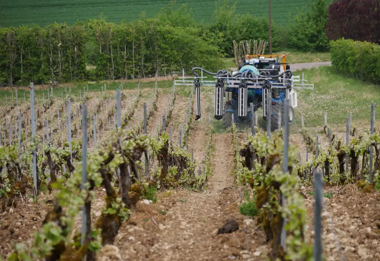 Traitement de la vigne