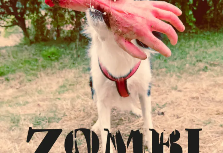 <em class="placeholder">Extrait du court métrage Zombi de David Large</em>