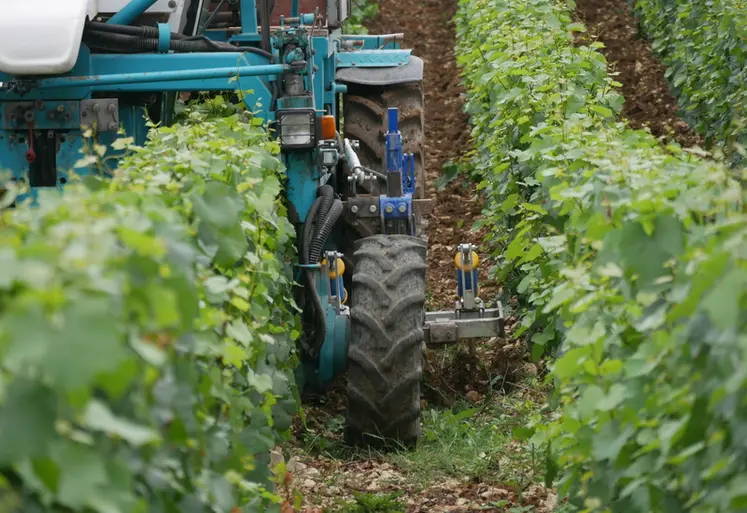 <em class="placeholder">Tracteur enjambeur réalisant du travail du sol en vignes étroites, à l'aide d'une charrue vigneronne.</em>