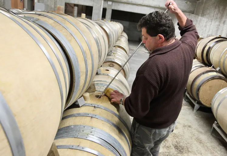 <em class="placeholder">oenologie. oenologie. vinification. salarié d'une exploitation viticole effectuant le remuage des lies de vin avec un remueur en inox.  élevage des vins en fût de chêne. ...</em>