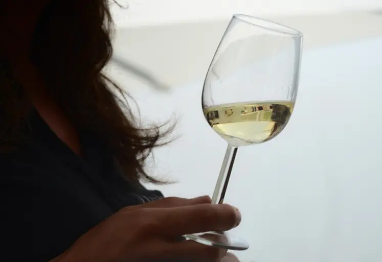 <em class="placeholder">dégustation verre de vin blanc</em>