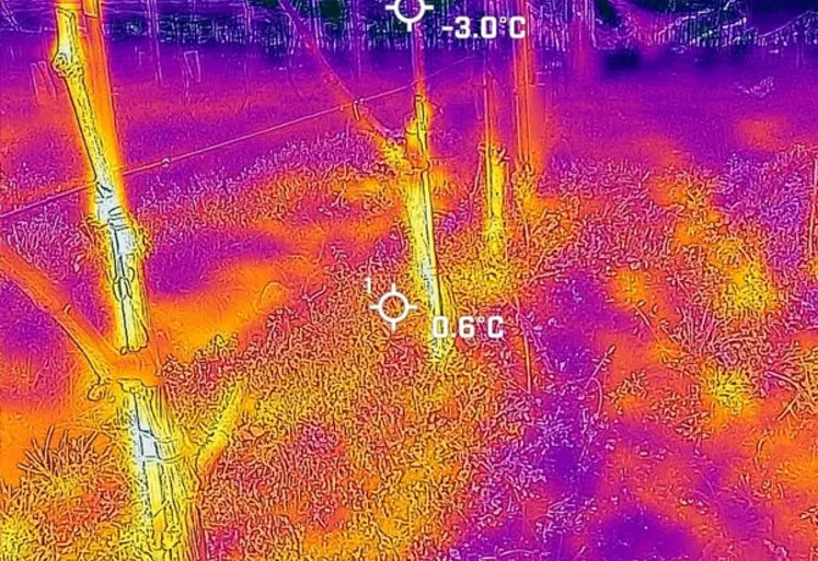 <em class="placeholder">Gradient de température sous un voile antigel pour la vigne</em>