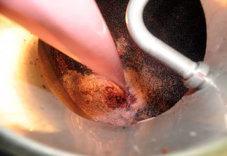 Levurage sur vin rouge