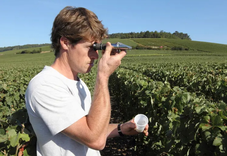 <em class="placeholder">Viticulture. Vigneron sur sa parcelle faisant une lecture de concentration de sucre avec un réfractomètre afin de suivre l'évolution de la maturité avant les vendanges en ...</em>