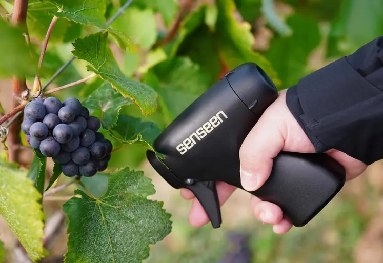 <em class="placeholder">Nutriscope de Senseen.</em>