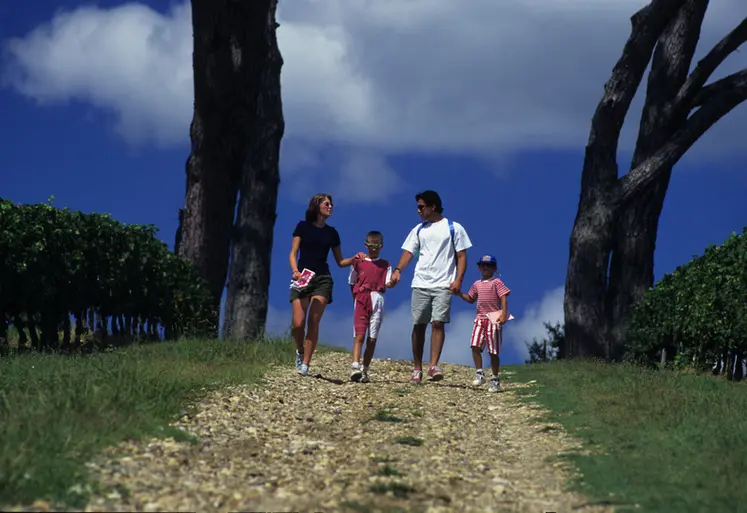 <em class="placeholder">tourisme viticole / oenotourisme / promenade familiale dans les vignes / randonneurs pédestres / parents / enfants</em>