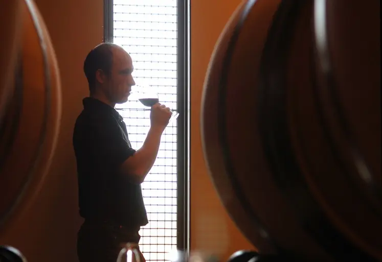<em class="placeholder">Dégustation de vin rouge dans un chai à barrique</em>
