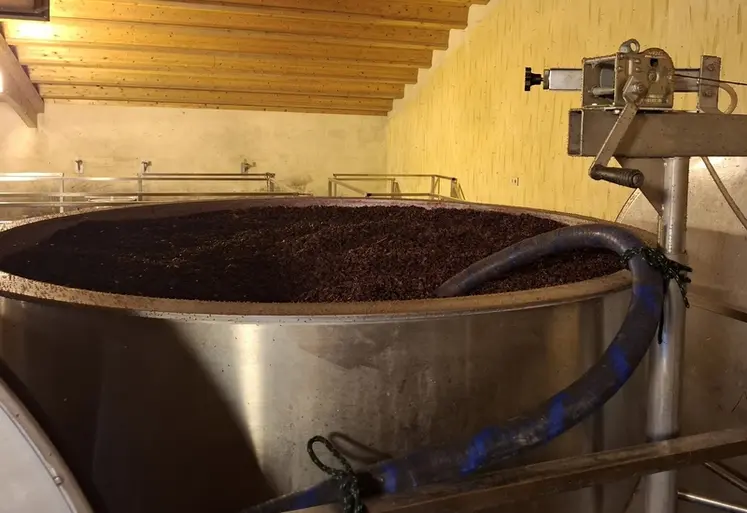 <em class="placeholder">cuve ouverte de moût rouge en fermentation avec chapeau de marc</em>