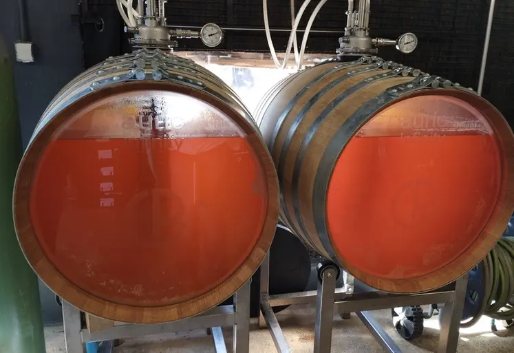 <em class="placeholder">barriques Inifnity, Le Clos du Paradis à Espaly-Saint-Marcel en Haute-Loire</em>