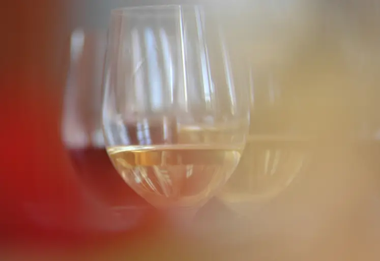 <em class="placeholder">Vigne / verre de vin blanc de Bordeaux</em>