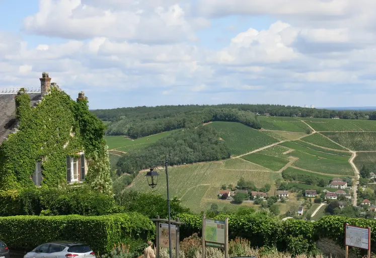 Paysage viticole autour de Sancerre