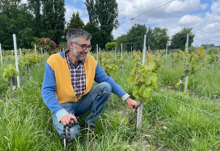 <em class="placeholder">Jean-Baptiste Cordonnier, viticulteur aux Châteaux Anthonic et Lestage Darquier Grand Poujeaux, à Moulis-en-Médoc, en Gironde</em>