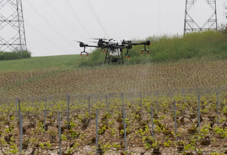 <em class="placeholder">Démonstration de traitement phytosanitaire (à l'eau) des vignes avec un drone, au Champagne Serge Mathieu, à Avirey-Lingey dans l'Aube, le 4 mai 2022. </em>