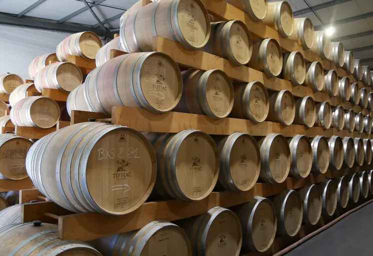 <em class="placeholder">chai à barriques 225 litres de la cave coopérative bordelaise Tutiac. 7 tonneliers différents. Gironde, Nouvelle Aquitaine</em>