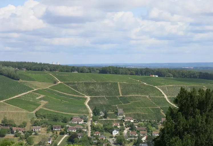 <em class="placeholder">Panorama du vignoble de Sancerre </em>