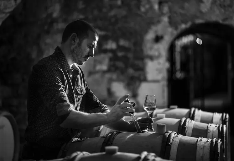 Benoît Droin, vigneron au Domaine Jean-Paul & Benoît Droin, à Chablis dans l’Yonne..