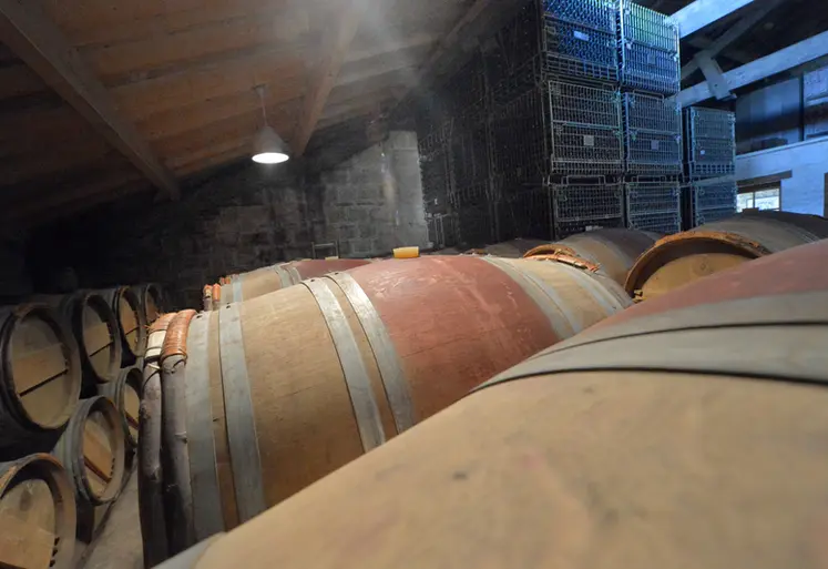 <em class="placeholder">Chai à barriques au château Le Puy dans le Bordelais (Famille Amoreau). Production de vins naturels issus de vignes cultivées selon la méthode biologique, bio-dynamique. ...</em>