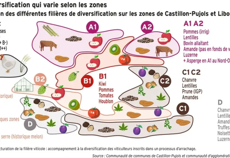 <em class="placeholder">Graphique = Une diversification qui varie selon les zonesRépartition des différentes filières de diversification sur les zones de Castillon-Pujols et Libourne</em>