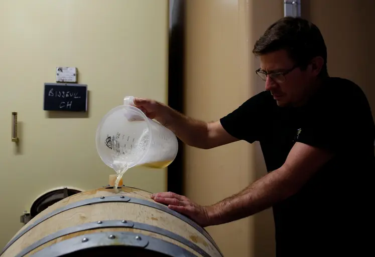 <em class="placeholder">Salarie d une exploitation viticole de Champagne mettant a niveau le remplissage de futs de chene avec le jus de la cuvee durant les vendanges 2020 en Champagne.</em>